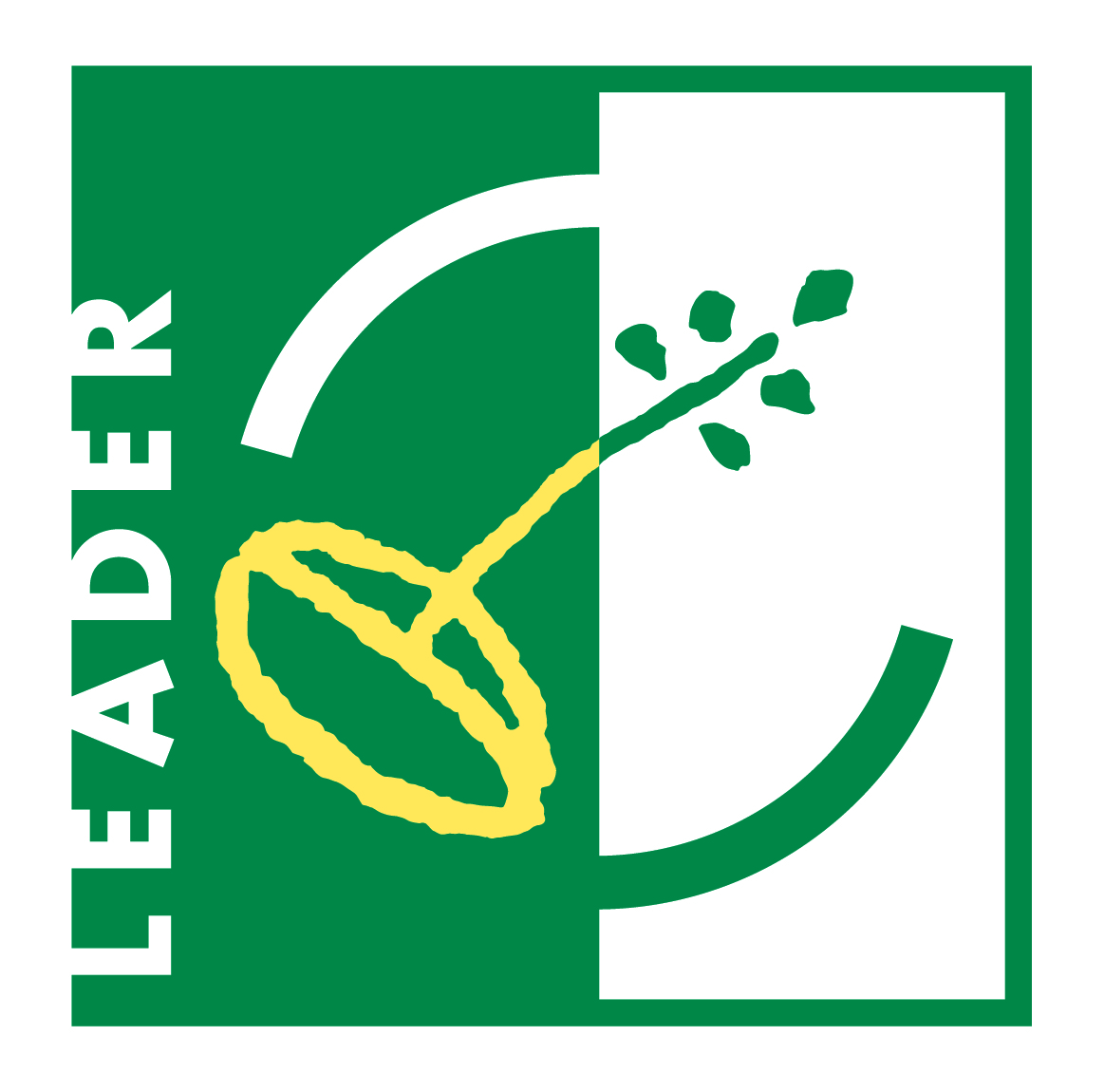 leader hdprint 01 copie