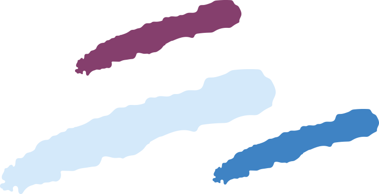 Traits